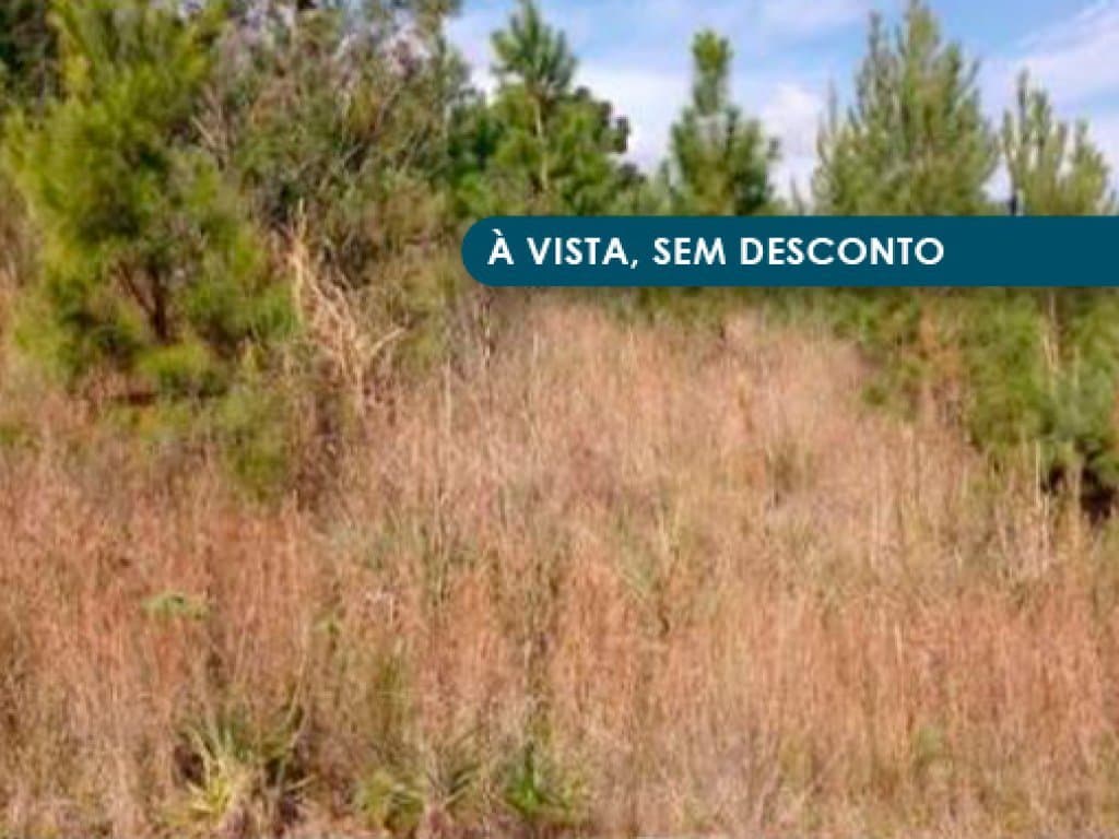 Foto 2 de 4: Terreno em leilão em Nova Petrópolis - RS, bairro Linha Brasil — Terreno 711 m² - Linha Brasil - Nova Petrópolis - RS