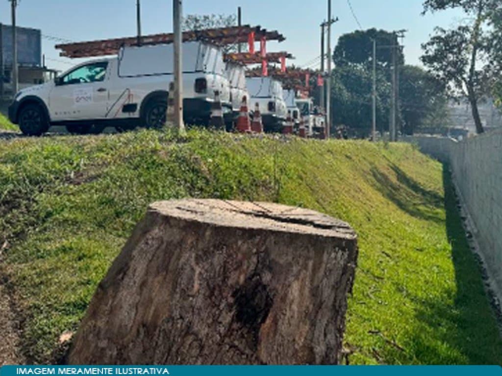 Foto 5 de 5: Terreno em leilão em São Paulo - SP, bairro Cidade Dutra — Terreno 1.175 m² - Cidade Dutra - São Paulo - SP - Leilão de Parte Ideal (12,50%)