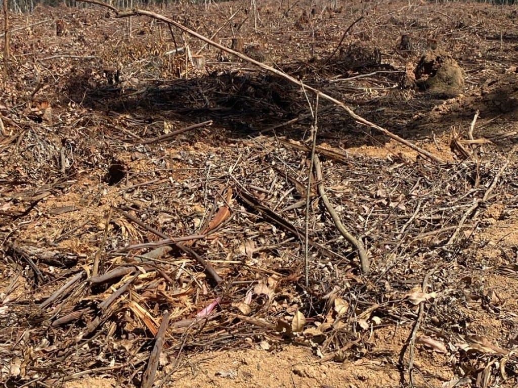 Foto 3 de 9: Area Rural em leilão em Angatuba - SP — Parte Ideal (20%) de Imóvel Rural 246 ha (Fazenda da Represa) - Santo Inácio - Angatuba - SP