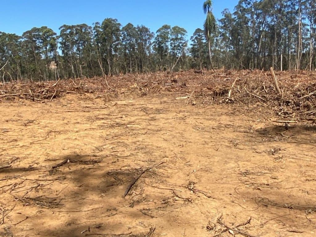 Foto 7 de 9: Area Rural em leilão em Angatuba - SP — Parte Ideal (20%) de Imóvel Rural 246 ha (Fazenda da Represa) - Santo Inácio - Angatuba - SP