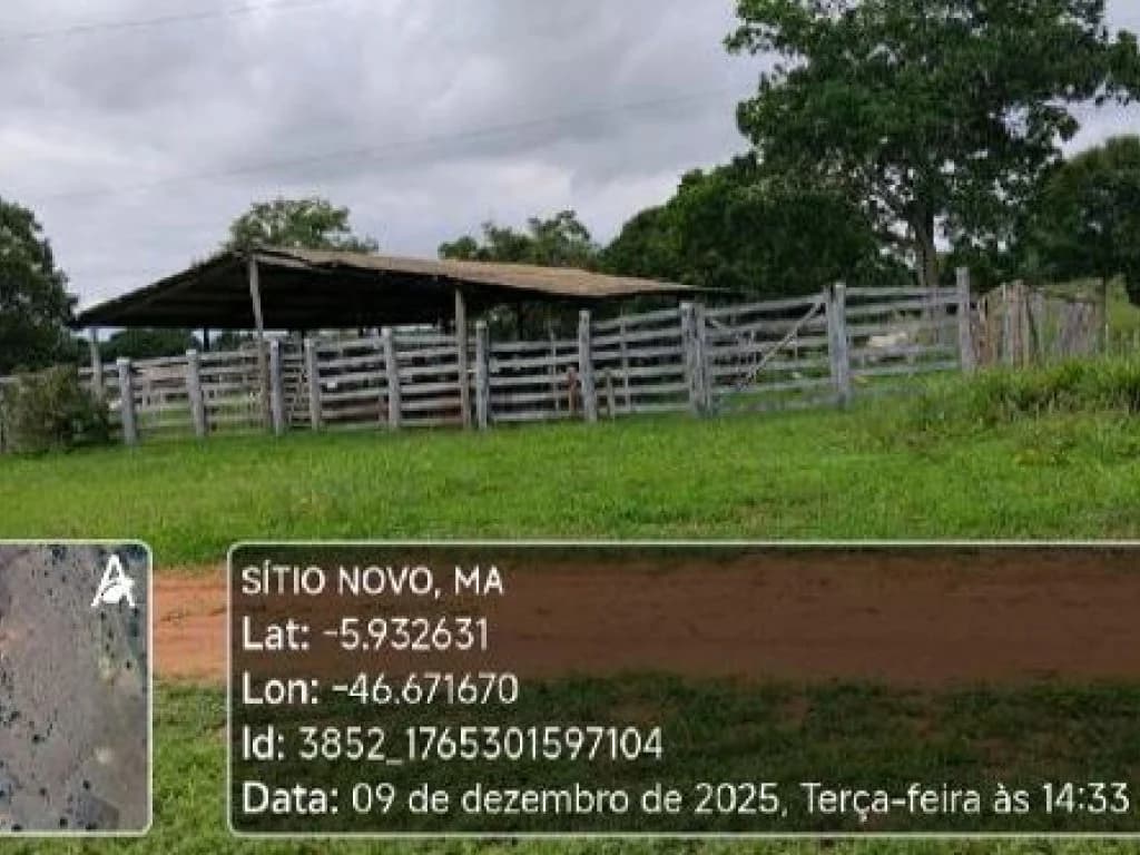 Foto 3 de 4: Area Rural em leilão em Sítio Novo - MA — Área Rural 45 ha - Sítio Novo-MA - Fazenda Para Sempre - Zona Rural