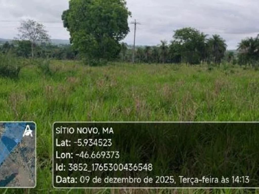 Foto 4 de 4: Area Rural em leilão em Sítio Novo - MA — Área Rural 45 ha - Sítio Novo-MA - Fazenda Para Sempre - Zona Rural