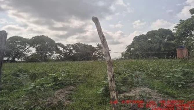 Area Rural em leilão em Bragança - PA — Área Rural 1.650 ha - Bragança-PA - Estrada Municipal - Lote Colonial Definitivo, 096 - Colônia Traquateua