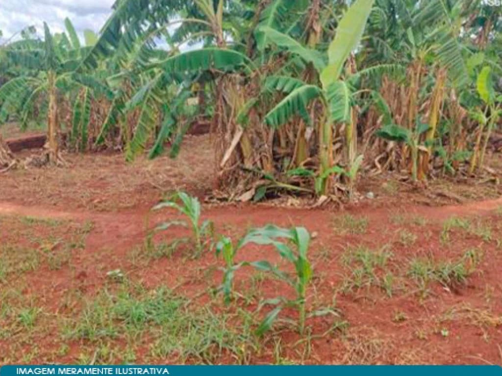 Foto 4 de 4: Terreno em leilão em São Francisco De Sales - MG — Terreno 407 m² - São Francisco de Sales - MG