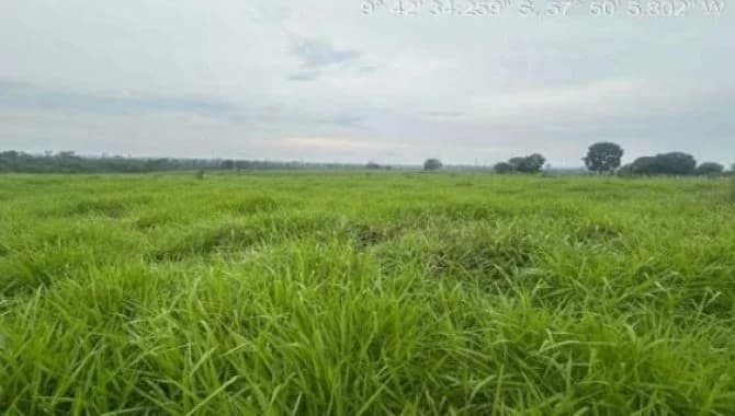 Foto 1 de 2: Area Rural em leilão em Nova Bandeirantes - MT — Área Rural 56 ha - Nova Bandeirantes-MT - Estrada Pirajui-MT para Nova Bandeirantes-MT - Zona Rural