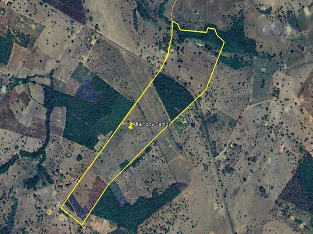 Foto 2 de 4: Area Rural em leilão em Sítio Novo - MA — Área Rural 45 ha - Sítio Novo-MA - Fazenda Para Sempre - Zona Rural