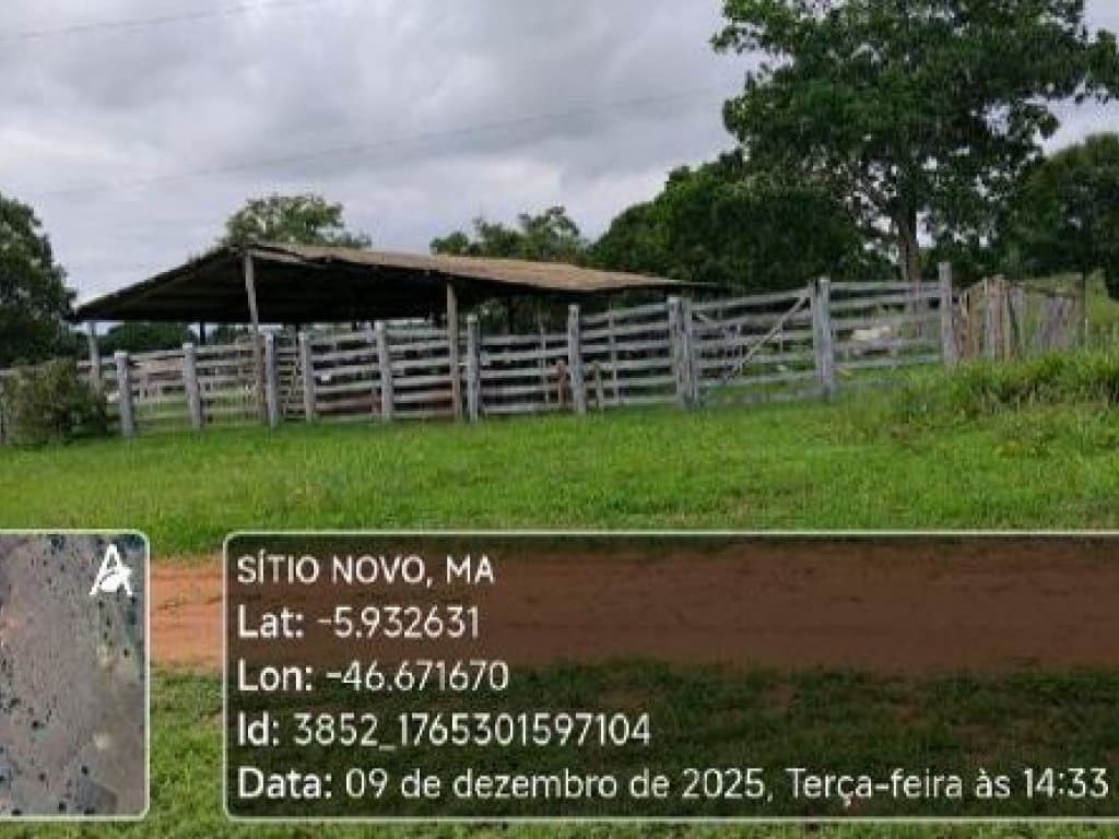 Foto 3 de 4: Area Rural em leilão em Sítio Novo - MA — Área Rural 45 ha - Sítio Novo-MA - Fazenda Para Sempre - Zona Rural