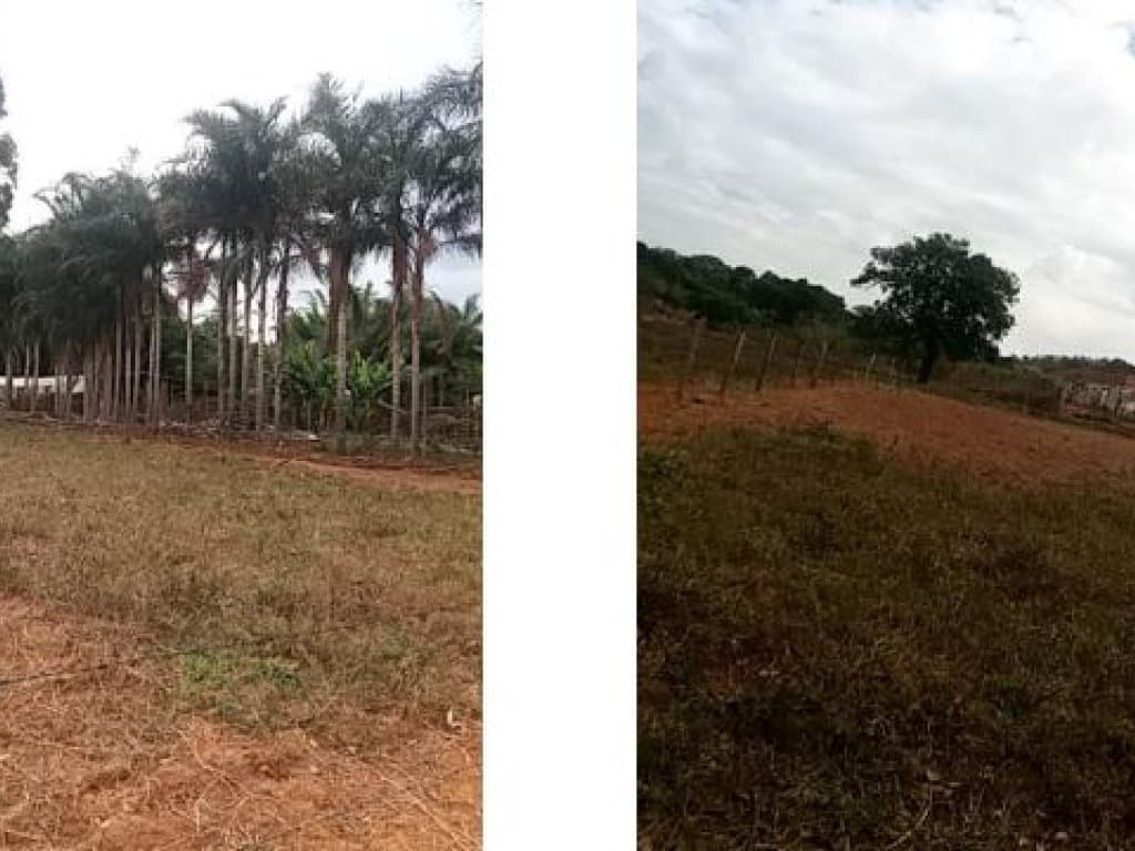 Foto 4 de 7: Terreno em leilão em Ipameri - GO, bairro Setor Nordeste — Terrenos 797 m² - Setor Nordeste - Alexânia - GO