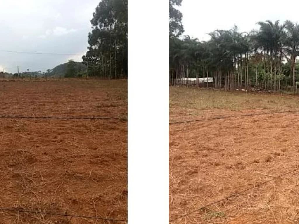 Foto 5 de 7: Terreno em leilão em Ipameri - GO, bairro Setor Nordeste — Terrenos 797 m² - Setor Nordeste - Alexânia - GO