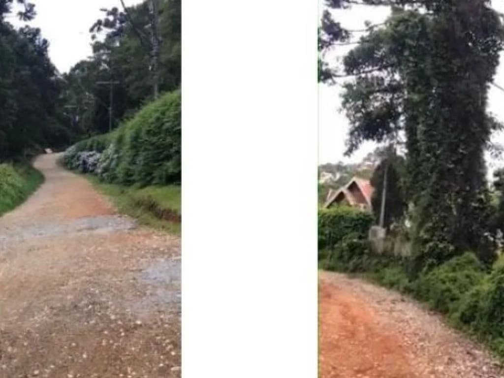 Foto 3 de 6: Terreno em leilão em Campos Do Jordão - SP, bairro Jardim das Pérolas — Área com 3.750 m² - Jardim das Pérolas - Campos do Jordão - SP
