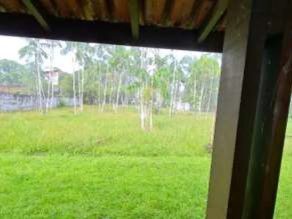 Foto 7 de 10: Terreno em leilão em Marituba - PA, bairro Centro — Área com 1,88 ha (com construções) - Centro - Marituba - PA