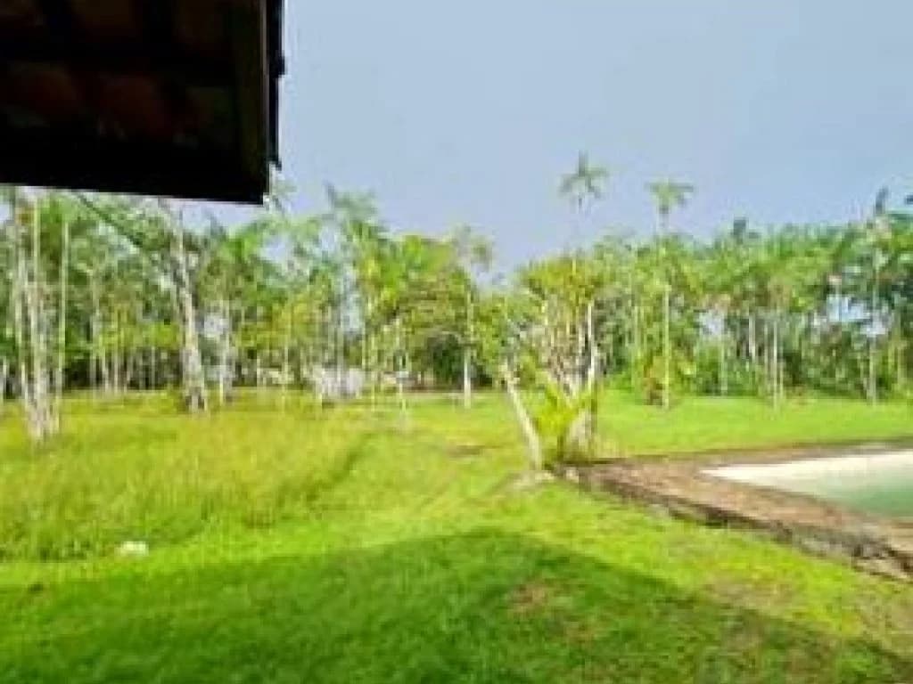 Foto 6 de 10: Terreno em leilão em Marituba - PA, bairro Centro — Área com 1,88 ha (com construções) - Centro - Marituba - PA