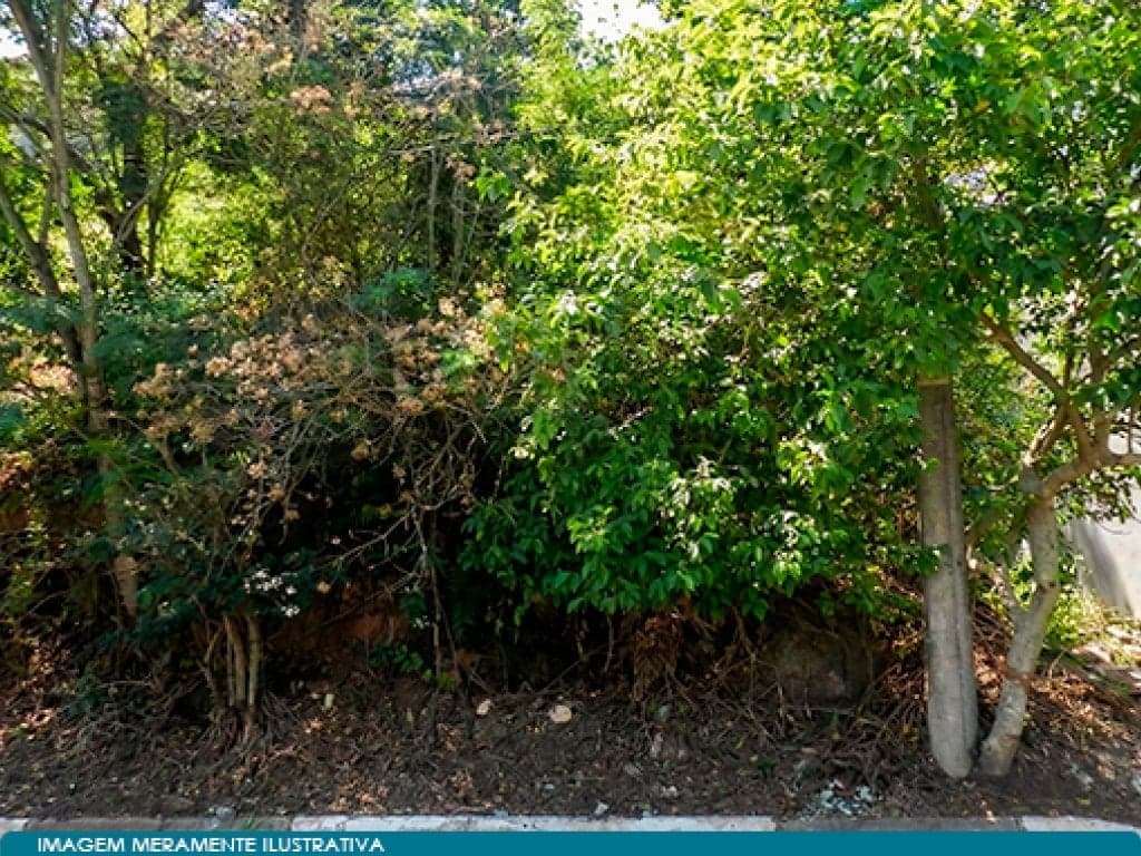 Foto 4 de 6: Terreno em leilão em Santana De Parnaíba - SP, bairro Jardim Clementino — Terreno 240 m² - Jardim Clementino - Santana Parnaíba - SP