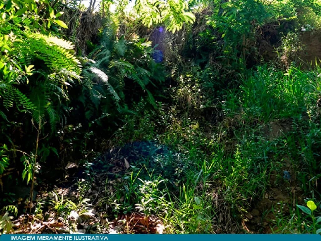 Foto 3 de 6: Terreno em leilão em Santana De Parnaíba - SP, bairro Jardim Clementino — Terreno 240 m² - Jardim Clementino - Santana Parnaíba - SP