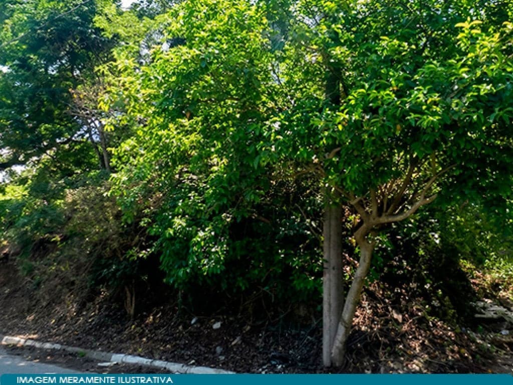 Foto 6 de 6: Terreno em leilão em Santana De Parnaíba - SP, bairro Jardim Clementino — Terreno 240 m² - Jardim Clementino - Santana Parnaíba - SP