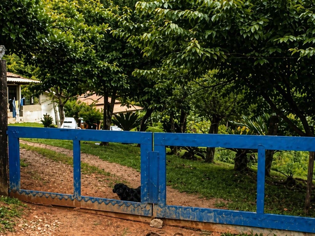Casa em leilão em São Roque - SP, bairro Vargem Grande — Casas em Área de 3.011 m² - Mailasqui - São Roque - SP