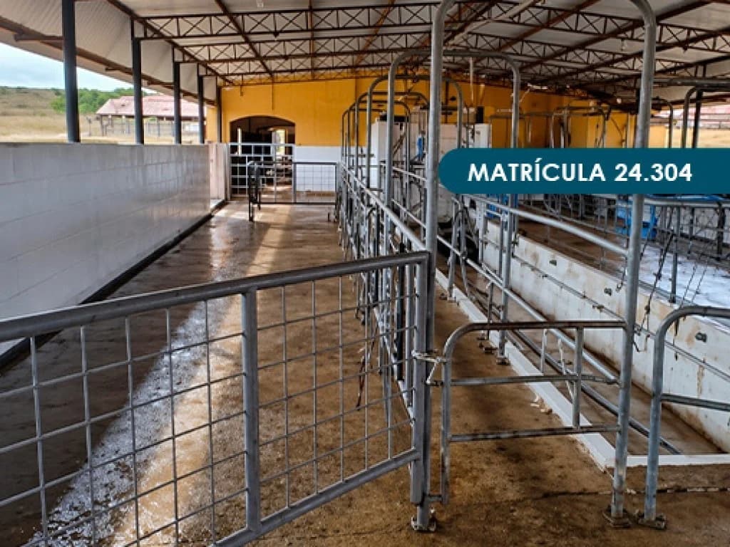 Foto 9 de 46: Area Rural em leilão em Presidente Alves - SP — Imóvel Rural com área total de 393 ha (Fazenda Conquista) - Presidente Alves - SP