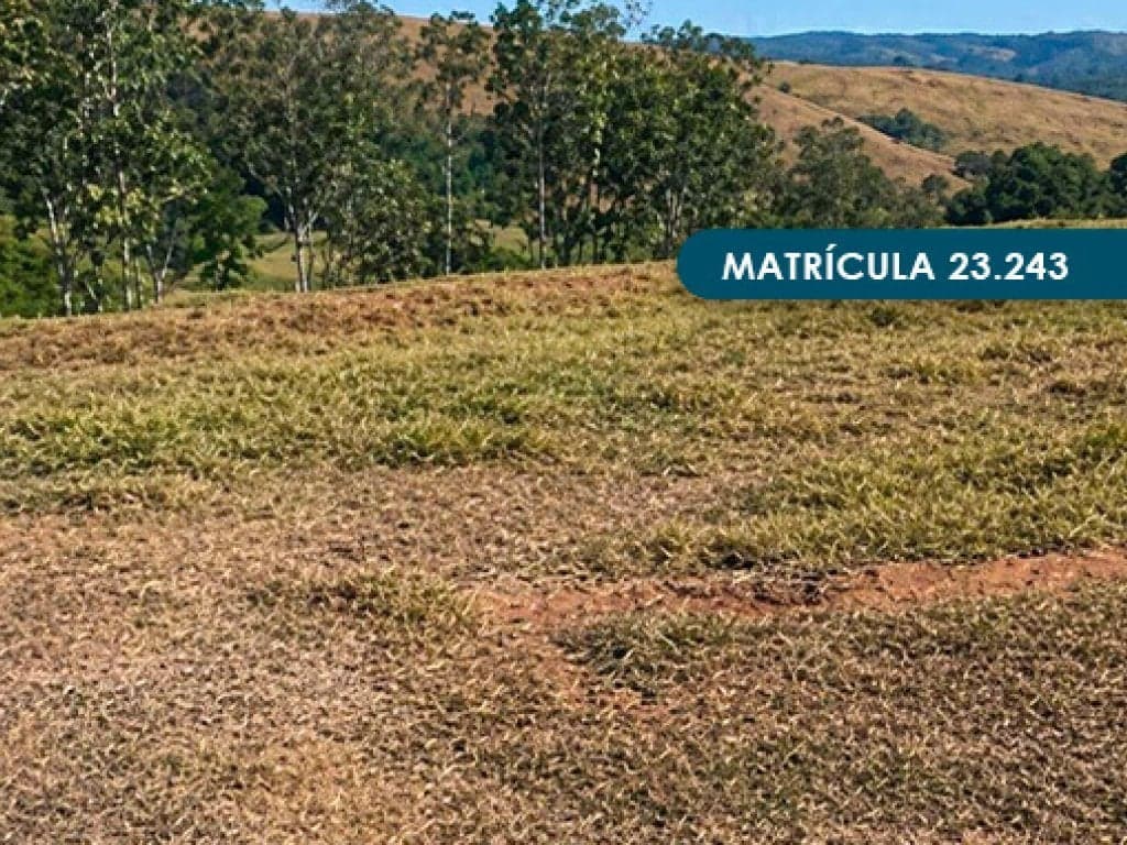 Foto 14 de 46: Area Rural em leilão em Presidente Alves - SP — Imóvel Rural com área total de 393 ha (Fazenda Conquista) - Presidente Alves - SP