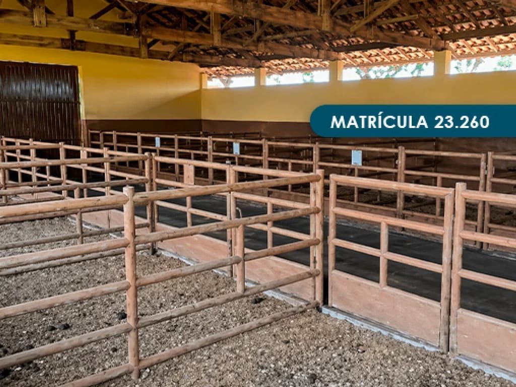 Foto 28 de 46: Area Rural em leilão em Presidente Alves - SP — Imóvel Rural com área total de 393 ha (Fazenda Conquista) - Presidente Alves - SP