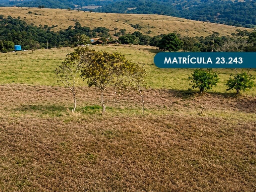 Foto 20 de 46: Area Rural em leilão em Presidente Alves - SP — Imóvel Rural com área total de 393 ha (Fazenda Conquista) - Presidente Alves - SP