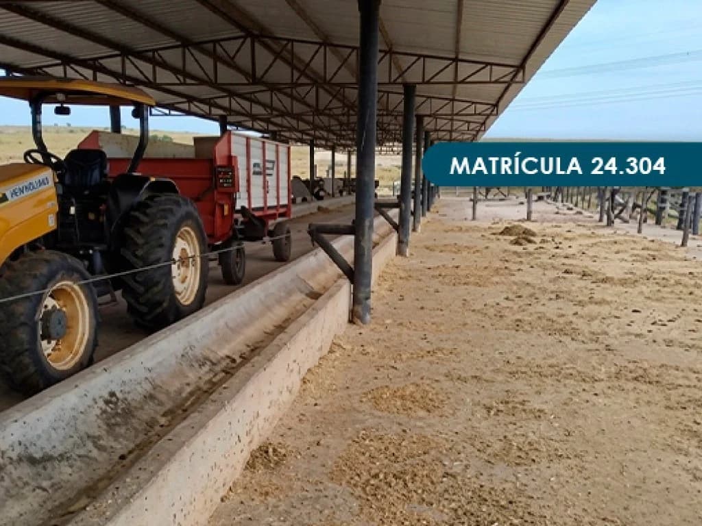 Foto 8 de 46: Area Rural em leilão em Presidente Alves - SP — Imóvel Rural com área total de 393 ha (Fazenda Conquista) - Presidente Alves - SP