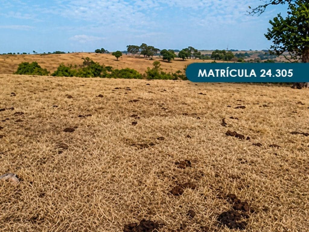 Foto 31 de 46: Area Rural em leilão em Presidente Alves - SP — Imóvel Rural com área total de 393 ha (Fazenda Conquista) - Presidente Alves - SP