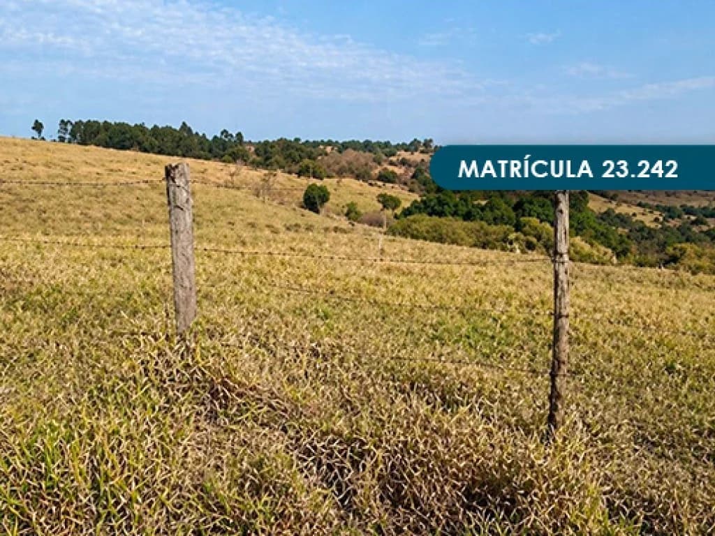 Foto 22 de 46: Area Rural em leilão em Presidente Alves - SP — Imóvel Rural com área total de 393 ha (Fazenda Conquista) - Presidente Alves - SP
