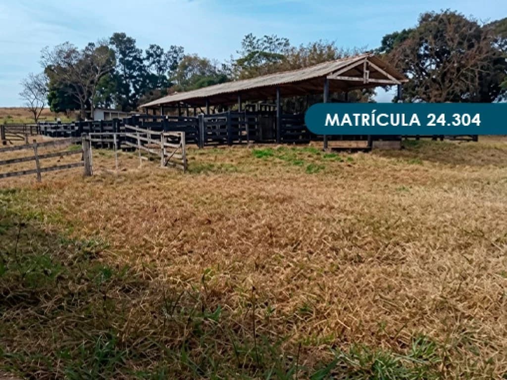 Foto 7 de 46: Area Rural em leilão em Presidente Alves - SP — Imóvel Rural com área total de 393 ha (Fazenda Conquista) - Presidente Alves - SP