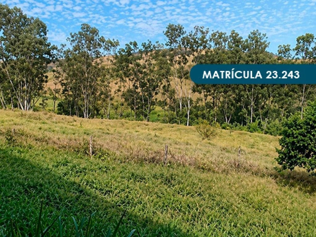 Foto 13 de 46: Area Rural em leilão em Presidente Alves - SP — Imóvel Rural com área total de 393 ha (Fazenda Conquista) - Presidente Alves - SP