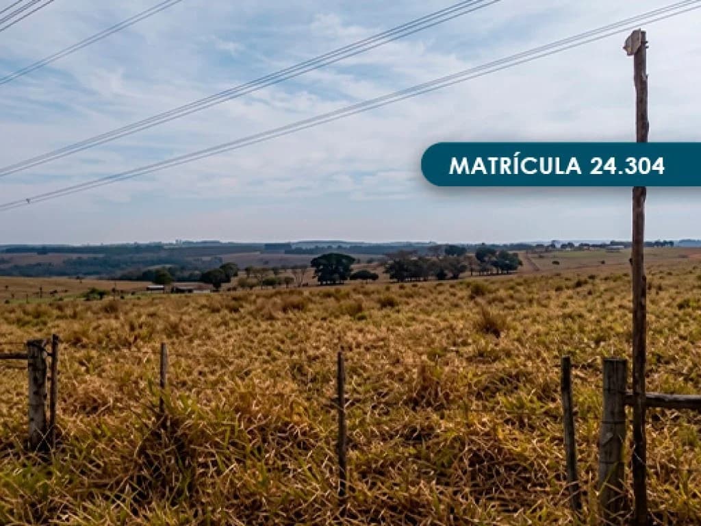 Foto 5 de 46: Area Rural em leilão em Presidente Alves - SP — Imóvel Rural com área total de 393 ha (Fazenda Conquista) - Presidente Alves - SP