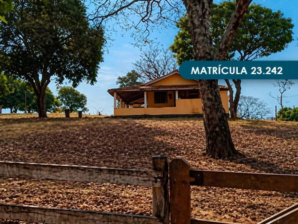 Foto 21 de 46: Area Rural em leilão em Presidente Alves - SP — Imóvel Rural com área total de 393 ha (Fazenda Conquista) - Presidente Alves - SP