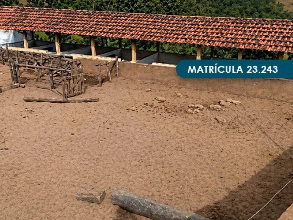 Foto 19 de 46: Area Rural em leilão em Presidente Alves - SP — Imóvel Rural com área total de 393 ha (Fazenda Conquista) - Presidente Alves - SP