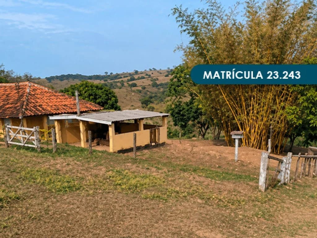 Foto 15 de 46: Area Rural em leilão em Presidente Alves - SP — Imóvel Rural com área total de 393 ha (Fazenda Conquista) - Presidente Alves - SP