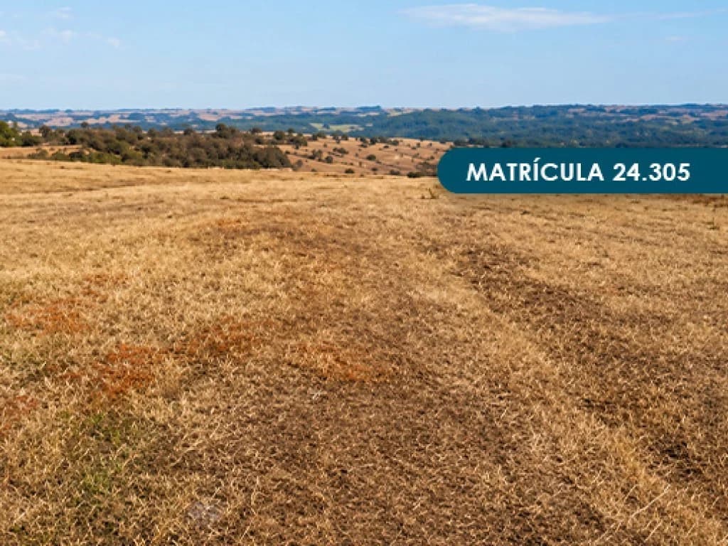 Foto 32 de 46: Area Rural em leilão em Presidente Alves - SP — Imóvel Rural com área total de 393 ha (Fazenda Conquista) - Presidente Alves - SP