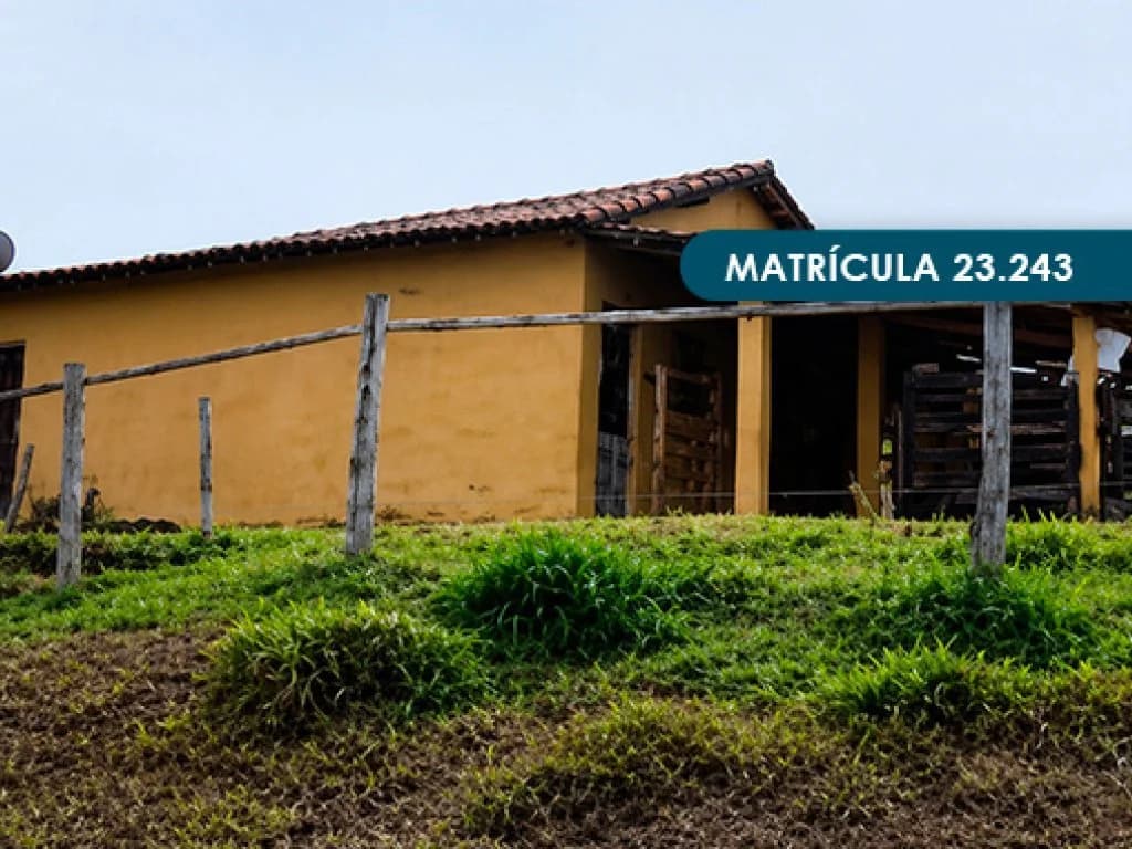 Foto 17 de 46: Area Rural em leilão em Presidente Alves - SP — Imóvel Rural com área total de 393 ha (Fazenda Conquista) - Presidente Alves - SP