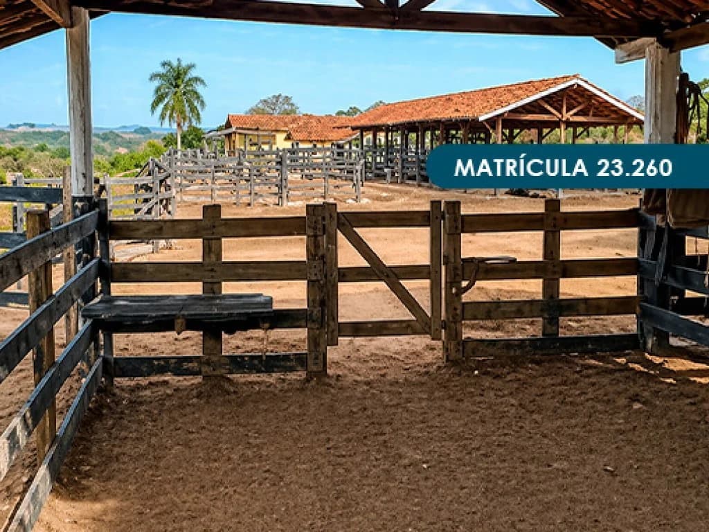 Foto 26 de 46: Area Rural em leilão em Presidente Alves - SP — Imóvel Rural com área total de 393 ha (Fazenda Conquista) - Presidente Alves - SP