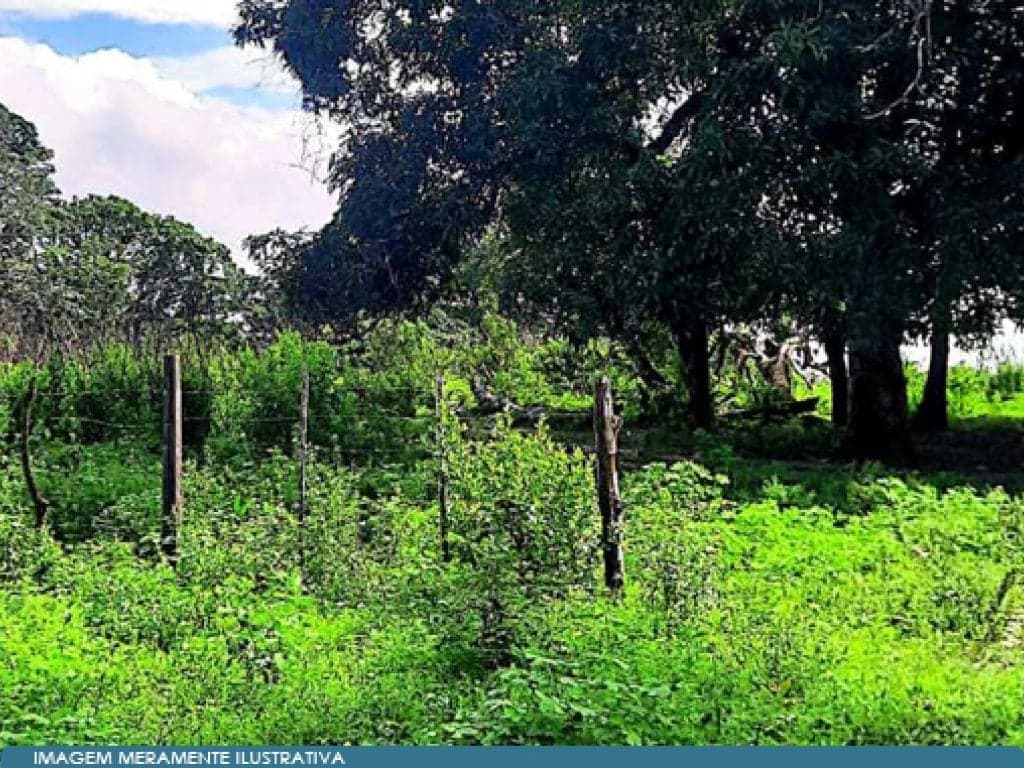 Foto 4 de 6: Area Rural em leilão em Turiaçu - MA — Imóvel Rural 1 ha - Turiaçu - MA