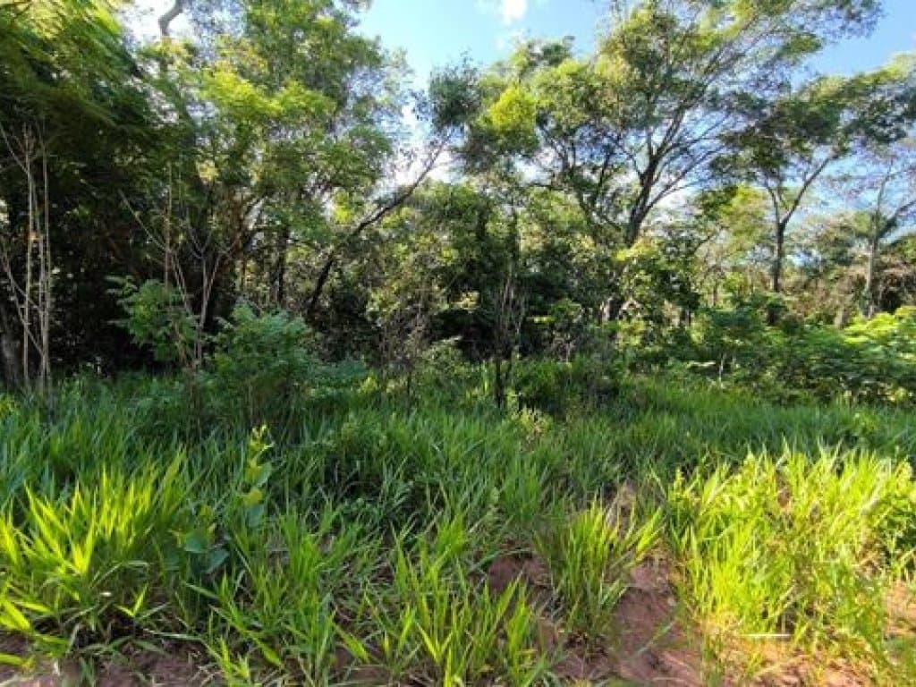 Foto 6 de 8: Terreno em leilão em Bauru - SP, bairro Vale do Igapó — Área de 1.085 m² - Vale do Igapó - Bauru - SP