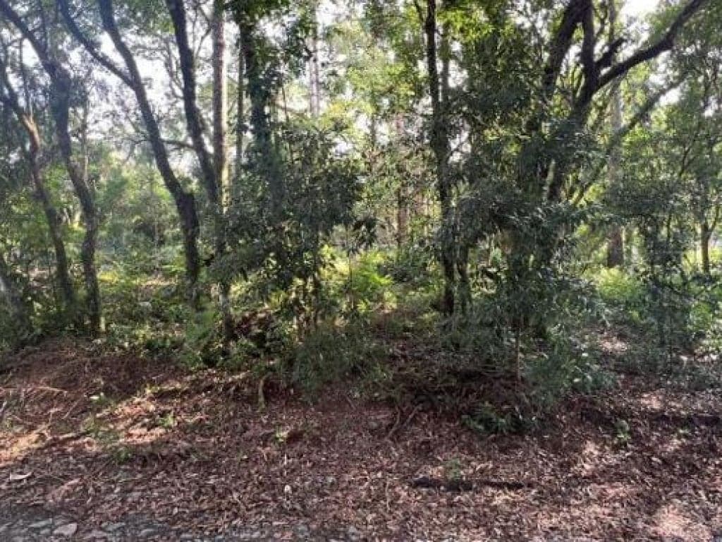 Terreno em leilão em Prudentópolis - PR, bairro Lubina Tarasczuk — Terreno 1.136 m² - Prudentópolis-PR - Rua Marginal do Rio Caxim - Lt. 14 da Qd. Única - Lubina Tarasczuk