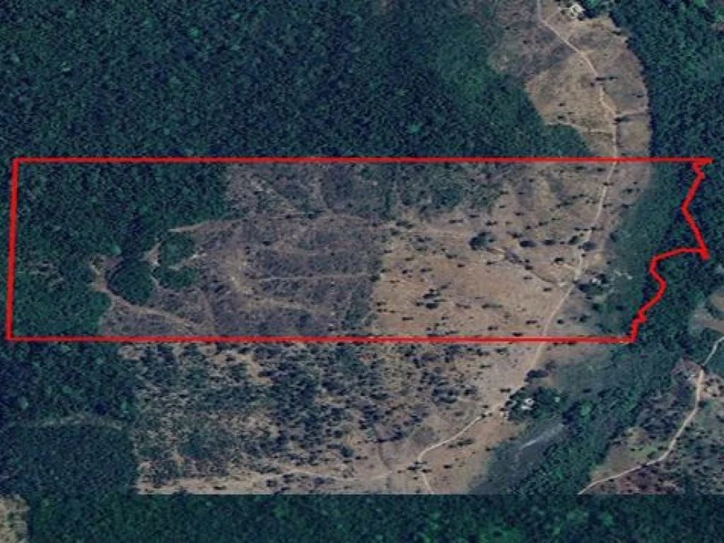 Area Rural em leilão em Muricilândia - TO, bairro Zona Rural — Fazenda 32 ha - Muricilândia-TO - Fazenda Boa Vista - Zona Rural