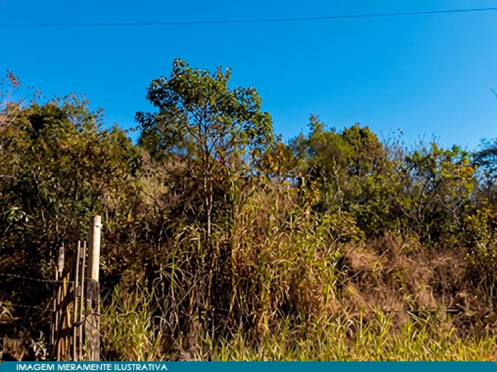 Foto 3 de 7: Area Rural em leilão em Belo Horizonte - MG — Direitos sobre Área 590 ha (Fazenda Morro Grande e Caratinga) - Belo Horizonte - MG