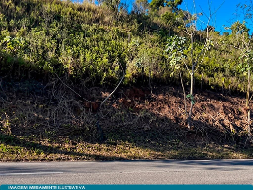 Foto 4 de 7: Area Rural em leilão em Belo Horizonte - MG — Direitos sobre Área 590 ha (Fazenda Morro Grande e Caratinga) - Belo Horizonte - MG