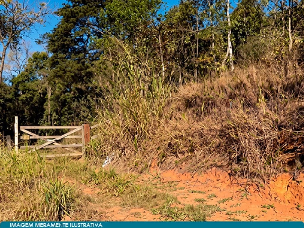 Foto 1 de 7: Area Rural em leilão em Belo Horizonte - MG — Direitos sobre Área 590 ha (Fazenda Morro Grande e Caratinga) - Belo Horizonte - MG
