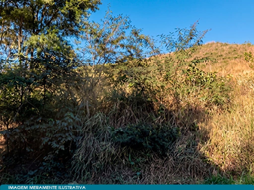 Foto 6 de 7: Area Rural em leilão em Belo Horizonte - MG — Direitos sobre Área 590 ha (Fazenda Morro Grande e Caratinga) - Belo Horizonte - MG