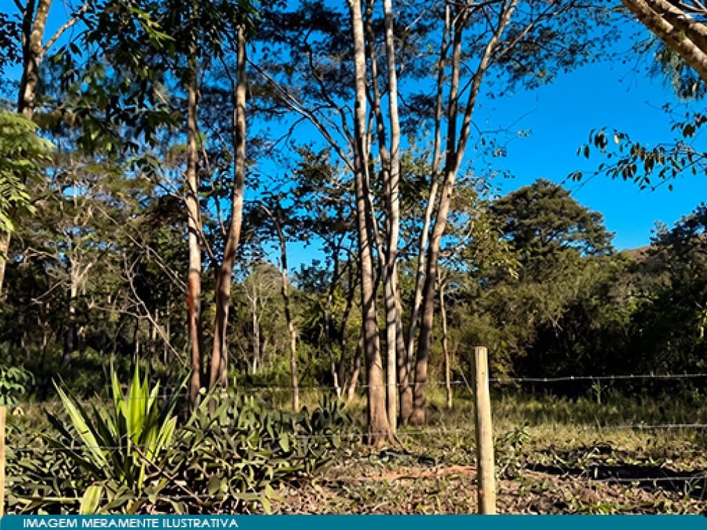Foto 2 de 7: Area Rural em leilão em Belo Horizonte - MG — Direitos sobre Área 590 ha (Fazenda Morro Grande e Caratinga) - Belo Horizonte - MG