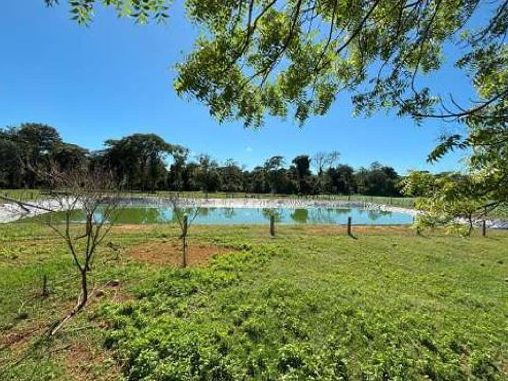 Foto 17 de 41: Area Rural em leilão em Primavera Do Leste - MT — Imóveis Rurais com 534,0355 ha (Fazenda Dona Antônia - Gleba A e Gleba B) - Primavera do Leste - MT