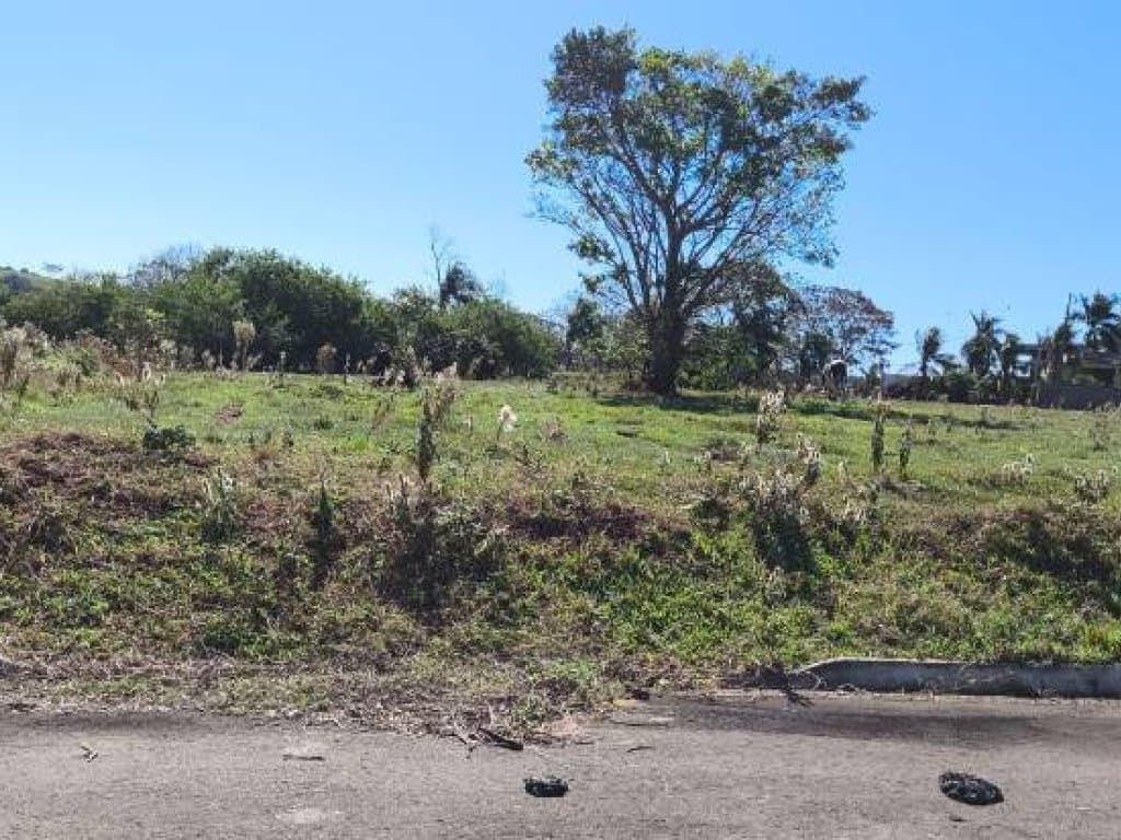 Foto 11 de 18: Terreno em leilão em Pérola - PR — Terreno 501 m² (Lt. 06 da Qd. 05) - Parque Residencial Viva - Pérola - PR