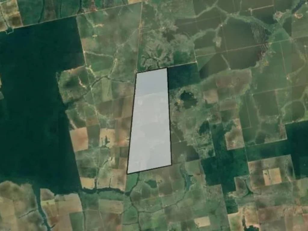 Foto 4 de 4: Area Rural em leilão em São José Do Xingu - MT — Imóvel Rural com Área de 1.209 ha (Fazenda São José) - São José do Xingu - MT