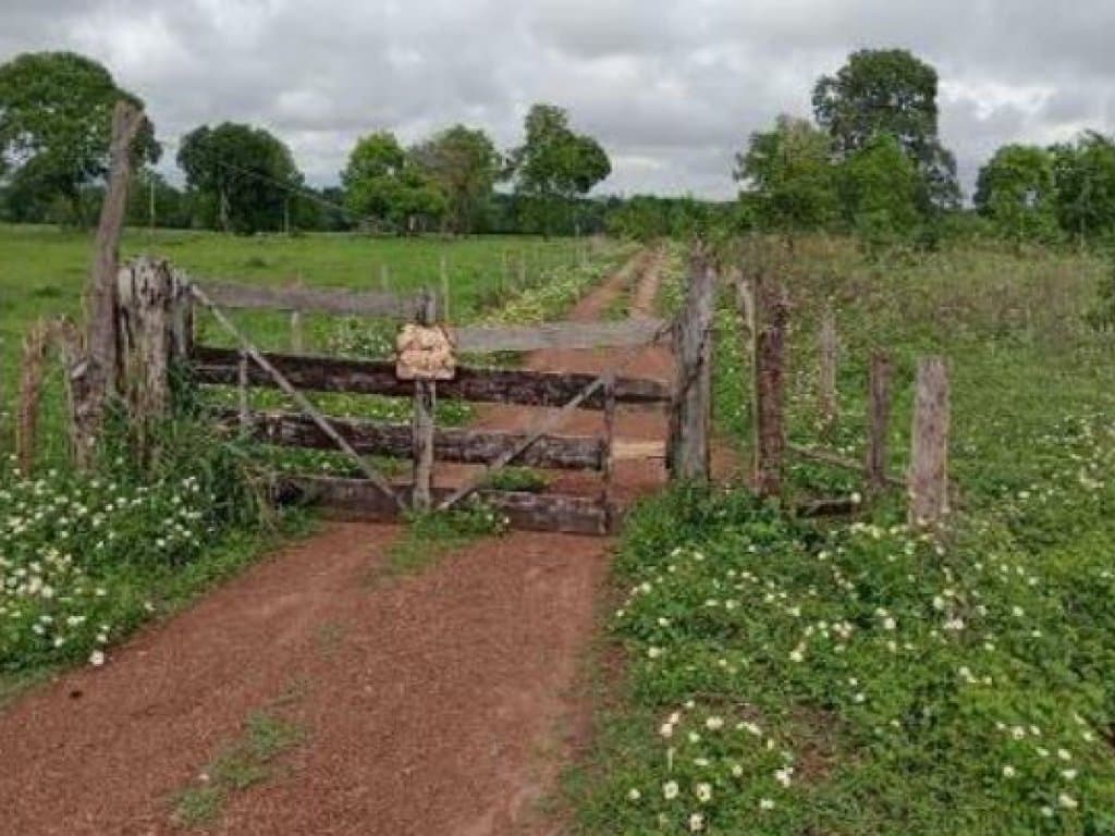 Foto 4 de 4: Area Rural em leilão em Aruanã - GO — Área Rural 27 ha - Aruanã-GO - Chácara Marambaia - Zona Rural