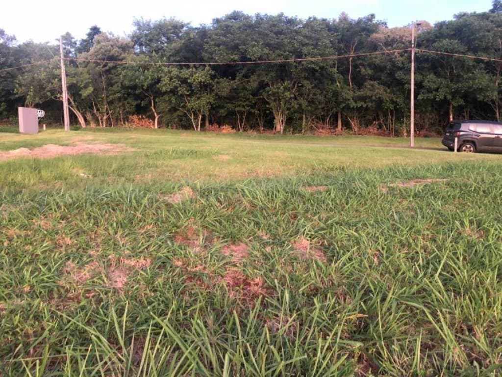 Foto 6 de 8: Terreno em leilão em Sertanópolis - PR — Lote, Padrão, 0 Vaga(S) de Garagem